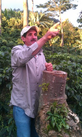 Farm-to-Table Movement to the World of Championship Coffee