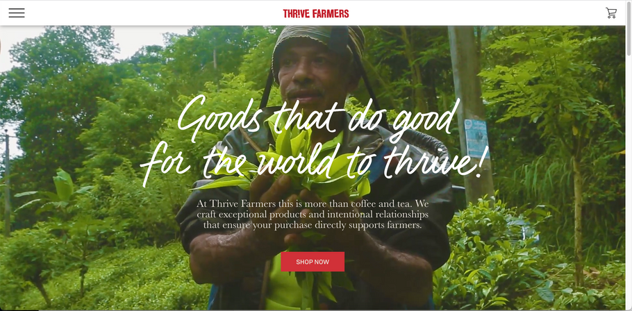 New Website Announcement Thrive